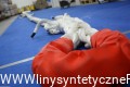Recovery Rope from www.syntheticropes.eu
