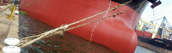 Mooring Tails